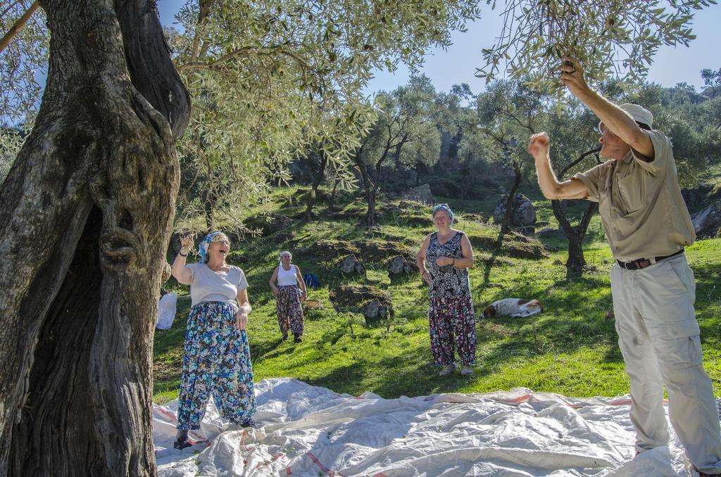 Agora Pansiyon Kapikiri Exterior foto